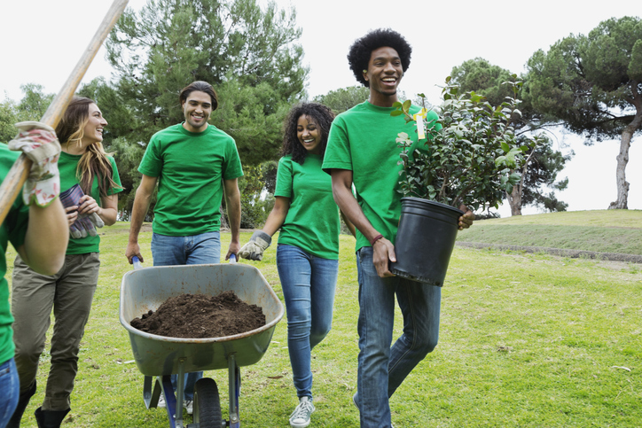 Group of environmentalists walking with wheelbarrow and potted plant in park